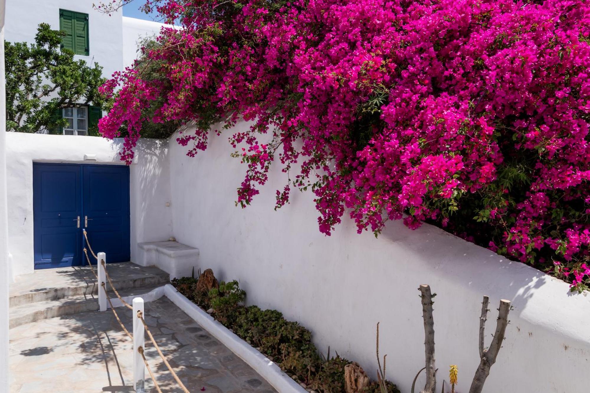 Olive Tree & Capari Mykonos Town Homes & Apartments With Pool! Экстерьер фото